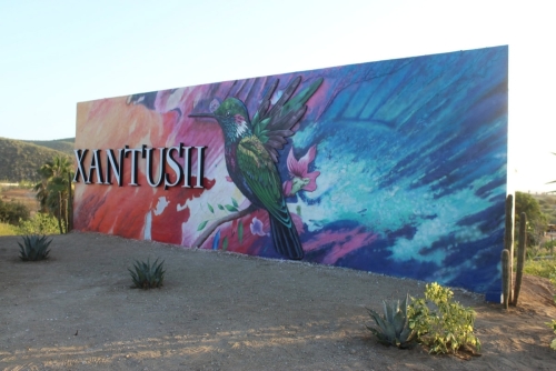 xantusii-mural